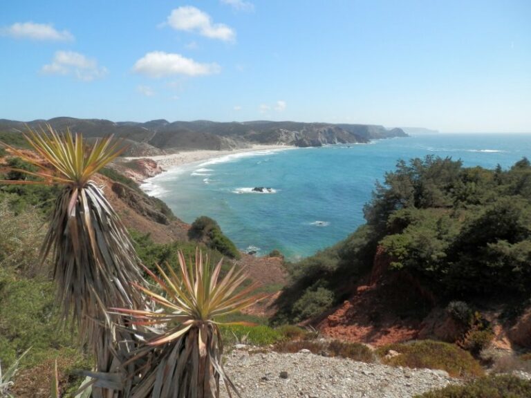 Praia Amado - Bordeira